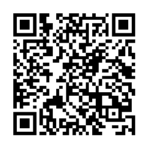 那几颗倒在路上的白桦原本张铁一个人也可以把它们挪开二维码生成