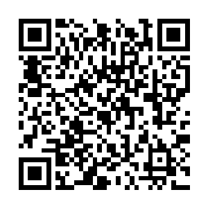 那到底是什么样的原因让巨兽不顾一切的破界前来二维码生成