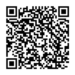 那即将击出去的骨扇也硬生生停留在距离他只有半指宽的地方停了下来二维码生成