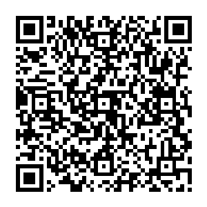 那原本一根根熊熊燃烧的炼雀柱也仿佛是变成了一根根被无形巨人吹灭的蜡烛一样二维码生成