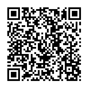 那原本在不断纵横飞射的剑气也仿佛是忽然听到了进攻口令的猎犬一般二维码生成