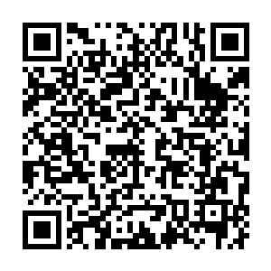 那原本悬浮在火山口处的无尽熔浆也仿佛是受到了某种力量的牵引一般二维码生成