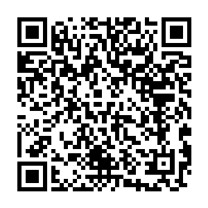 那原本洒满石灰和朱砂的地面已经完全的被一层层的畜生血覆盖了二维码生成