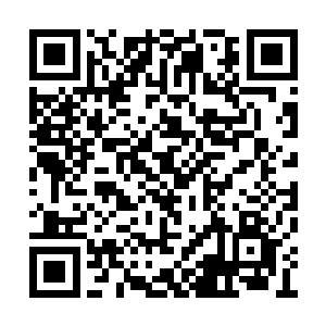 那原本被砸成碎片的木桌竟然一片片的飞回原位二维码生成