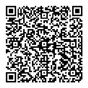 那原本高高悬挂在黑炎城城头旗杆上的代表安达曼联盟和黑炎城权威的联盟的十七星旗和煤钢联合会的旗帜这个时候已经消失不见二维码生成