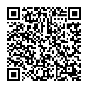 那双做旧的板鞋则出自万斯――是雨果自己私底下就穿过数次的旧鞋子二维码生成