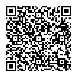 那双比一般姑娘都大的白生生脚尖跟钢琴师的手一般灵活的在刹车和油门上反复跳跃二维码生成