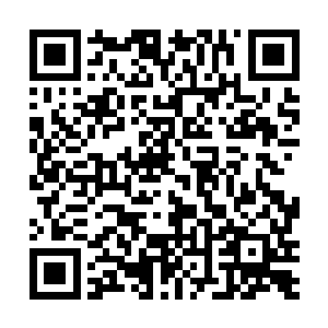那只会逼的文家把张小姐那不堪的秉性再宣扬一次罢了二维码生成
