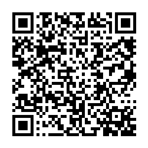 那只只属于观赏宠的家伙竟是不顾身后追杀的海族猛的扭头扎进流墨墨怀里二维码生成