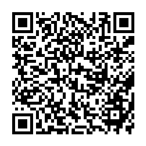 那只怕加上楚狂人老师和楚封老师的力量也不是对手啊……他们毕竟才刚刚突破二维码生成