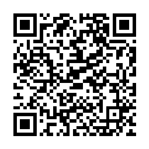 那只有青羽神宫符神主陆羽飘和瀚海神宫符神主虚无极了两人了二维码生成