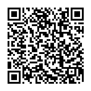 那名因为高原反应留在车上看守中继器的尖子生已经满头是血的蜷在地板上二维码生成