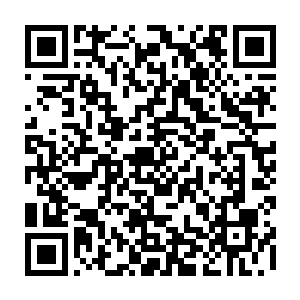那咬住穆卡迪奥手臂的双头巨狼此刻身上竟然爆出了跟懒惰身上一模一样的血光二维码生成