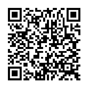 那咱们就请暂定第四位置的代表西门斌来见一见夏仙家二维码生成