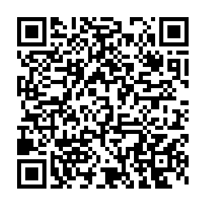 那在接下来的很长一段时间里面他们都不用再顾忌晶核方面的问题二维码生成