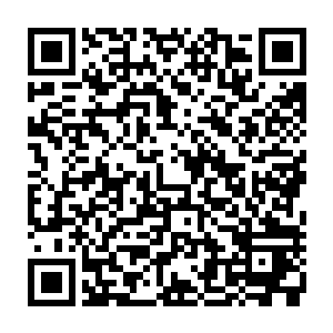 那在那通天教主符诏以及那二十四颗定海神珠力量的作用下终于挣破了禁制二维码生成