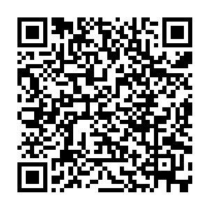 那坐席上原本还惊愕仰头看着流墨墨他们一行的选手们也刷刷的流下了眼泪二维码生成