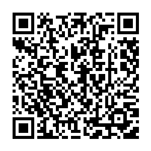 那坚硬地金属撞板狠狠地咬在兰博基尼如羽翼般舒展开来的性感臀部上去二维码生成