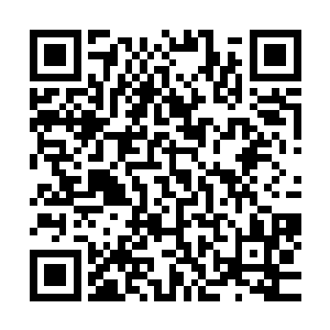 那基本上都会被它毒杀的……无论这个人的实力又多么的可怕二维码生成