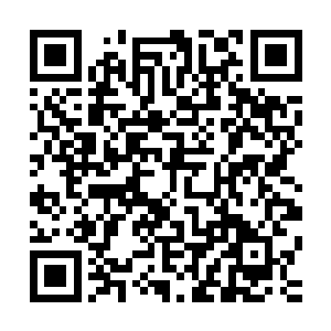 那复杂的眼神看不出陈凌在他们心里到底是一个什么样的形象二维码生成
