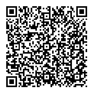 那大巫圣子咆哮而道 低头看了看身上的洞口 那已经是一道致命的创伤 只不过月殇箭速度太快 甚至从快化作了慢二维码生成