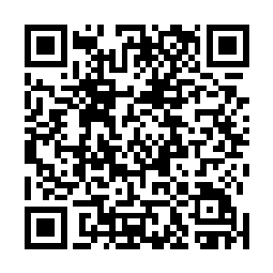 那天翼神虎的最终归属权已经成为一件无可争议的事实了二维码生成