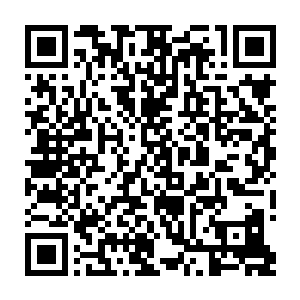 那天陨所化的巨型魔神迪亚波罗也忽然仿佛是承受了某种剧烈的痛苦一样二维码生成