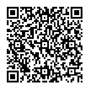 那如潮水一样汹涌而来的铁牙鬣狗根本不会给你半秒钟的后悔时间就会一拥而上把你淹没二维码生成