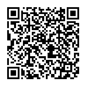 那完全破损的经脉竟然在混沌之力的作用下开始慢慢的重组凝实然后扩充二维码生成