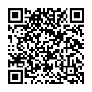 那宫女对老妇极客气的模样让赵嬷嬷不由得仔细看了去二维码生成