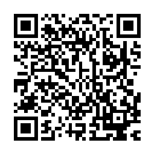 那家伙上辈子在我跟程白泽结婚的时候不是还给我们开过车了呢二维码生成
