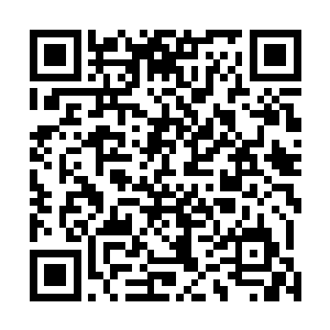 那家伙前段时间在校门口把黄小伟他们都收拾得像个孙子二维码生成