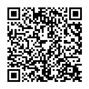 那寒城冰灵理当是宗家人用了极不光彩的手段从冰族那里交换来的二维码生成