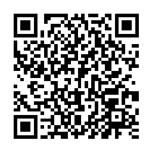 那尊由小强和众生灵力量凝聚成的守护巨人似也意识到了凶险二维码生成