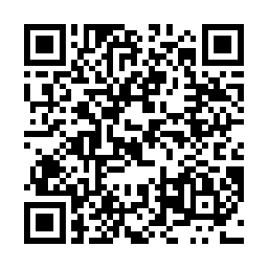 那少主一定实在通天灵塔中遇到了什么无法解决的难题二维码生成