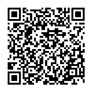 那就不惜一切代价将许紫烟给捉住・甚至将许紫烟击成重伤也在所不惜二维码生成