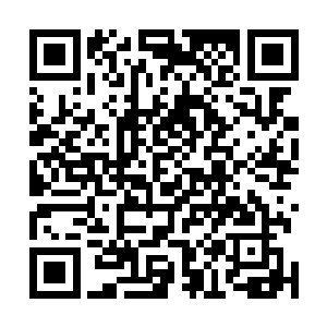 那就不要怪我的兄弟对你们不客气了――天南星又怎么样二维码生成