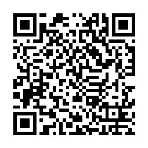 那就完全不一样了……似乎是感觉到了血麒麟幼崽出了问题二维码生成