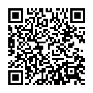 那就意味着以后这电视台的节目和活动他们报社再也没法采访到二维码生成