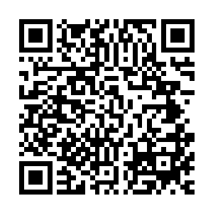 那就是仅凭这两颗拇指大小的神力结晶是肯定无法完成晋升的二维码生成