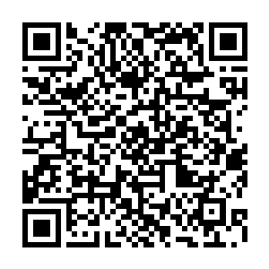 那就是在轮回神殿中仙尊高手禁制大开杀戒否则的话将会遭到所有的仙尊的制裁二维码生成