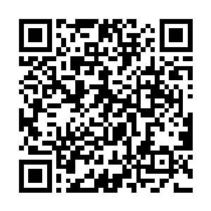 那就是尽管已经尽可能的对孙和林的实力进行了抬高二维码生成