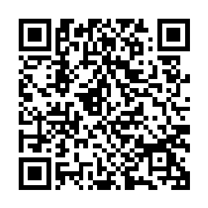 那就是汇聚灵界所用的力量在洞府世界主人还未彻底回來之时二维码生成