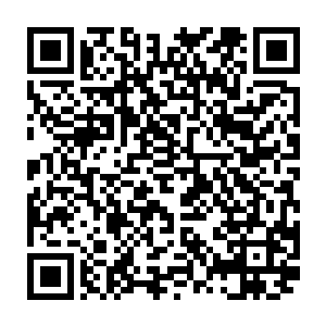 那就是等柯本分析并提供给我们关于周边地区哪里最适合隐藏他们的信息二维码生成