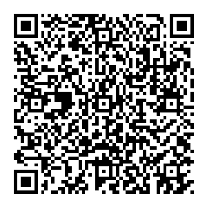 那就是这些土地以此种方式交给拓扑集团是要有拓扑集团在华东软件园内通过招商引资实现一定数量的企业进入和一定标准的投资规模二维码生成