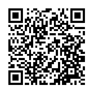 那就表示现在上面派来的几支隐秘部队此刻却并没有采取行动二维码生成