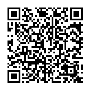 那就说明他说不定曾经也用了这样的方法对待自己之前的那二十位新娘二维码生成