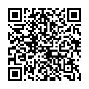 那就说明伏羲已经彻底撕碎了小明和文文设置的灵网防火墙二维码生成