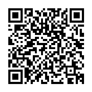 那巨大的盾牌同样是四分五裂化作了无数的小块就要彻底的消散二维码生成