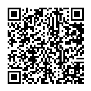 那巨大的金凤和火凰也在一阵阵剧烈的凤鸣声中狠狠地撞在了一起二维码生成